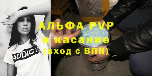 сатива Вяземский