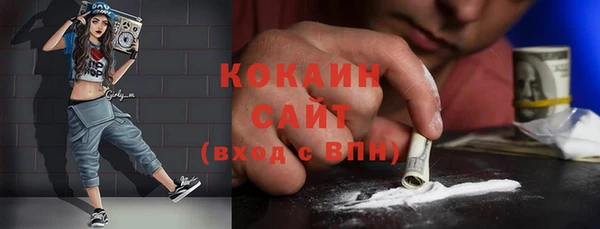 сатива Вяземский