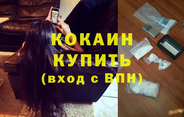 гашик Володарск