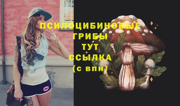 сатива Вяземский