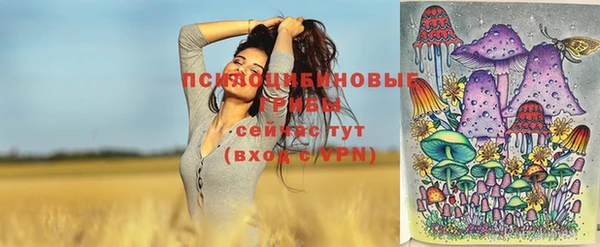 спиды Волоколамск
