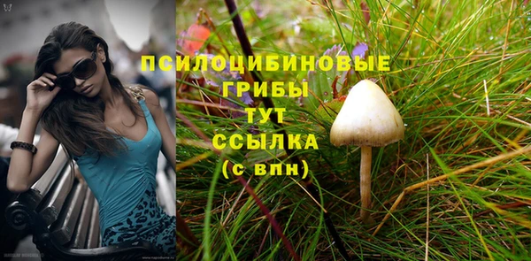 сатива Вяземский