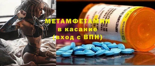 сатива Вяземский