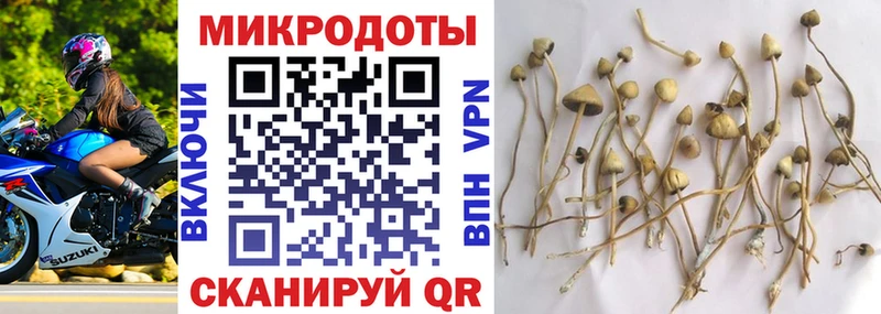 Галлюциногенные грибы мухоморы  продажа наркотиков  Кандалакша 